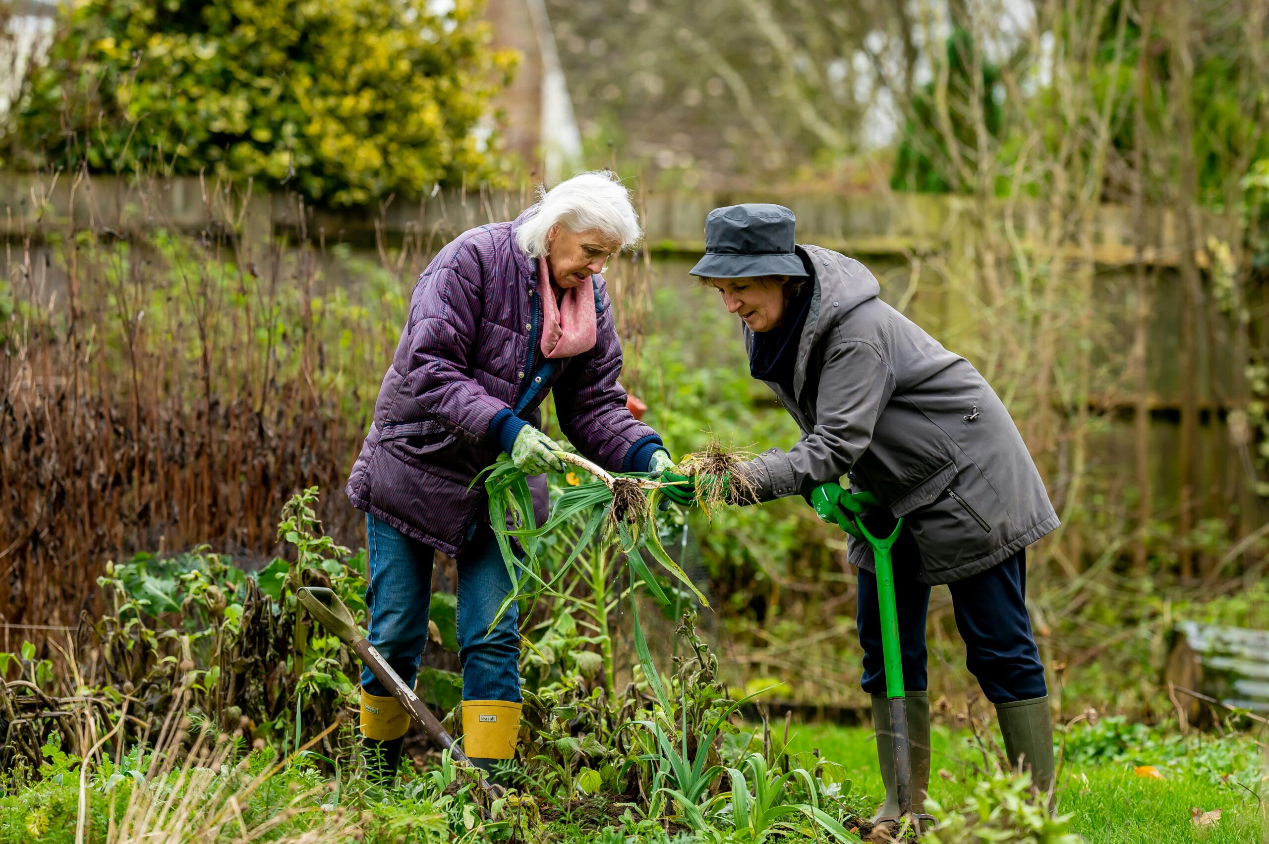 Benefits of Gardening for Seniors