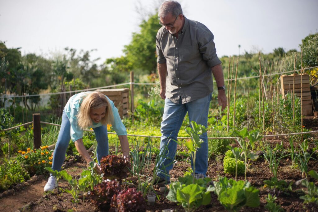 Benefits of Gardening for Seniors